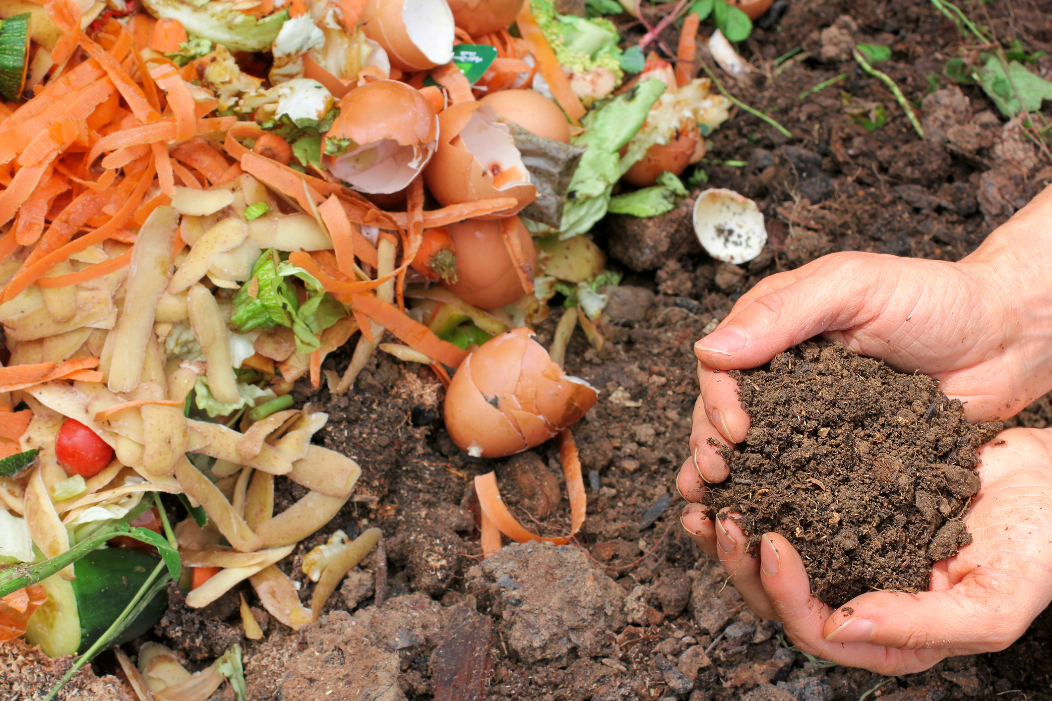 food recycler, how to make instant compost